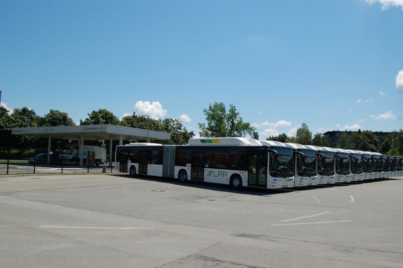 10 novih avtobusov LPP na zemeljski plin oziroma metan (Foto: Branko Iljaš)