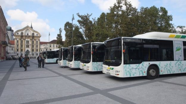 New CNG buses. Photo: Nik Rovan